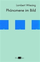 Lambert Wiesing, Lambertus Wiesing - Phänomene im Bild