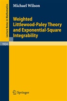 Michael Wilson - Weighted Littlewood-Paley Theory and Exponential-Square Integrability