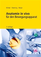 Meijer, Onn Meijer, Onno Meijer, Onno G. Meijer, Vleemin, Andr Vleeming... - Anatomie in vivo für den Bewegungsapparat