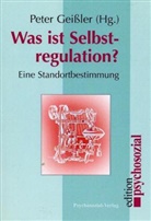 Peter Geißler, Pete Geissler, Peter Geißler - Was ist Selbstregulation?