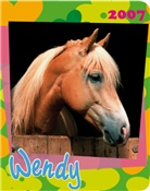 Wendy, Hard Cover Diary