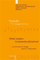 Walter Bisang, Nikolaus P. Himmelmann, Nikolau P Himmelmann, Nikolaus P Himmelmann, Björn Wiemer - What makes Grammaticalization?