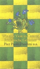 Pier P Pasolini, Pier Paolo Pasolini, Pier Paolo Pasolini - Wie eine Viole in Casarsa