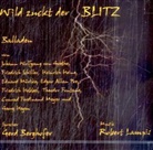 Gerd Berghofer - Wild zuckt der Blitz, Audio-CD (Hörbuch)