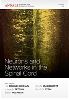 Joseph Fetcho, Joseph R Fetcho, Joseph R. Fetcho, Sha Hochman, Shawn Hochman, Amy B. MacDermott... - Neurons and Networks in the Spinal Cord, Volume 1198