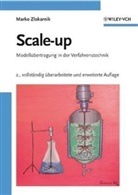 Marko Zlokarnik - Scale-up