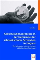 Eszter Zséli - Akkulturationsprozesse in der Gemeinde der schorokscharer Schwaben in Ungarn