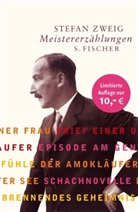 Stefan Zweig - Meistererzählungen