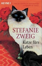 Stefanie Zweig - Katze fürs Leben