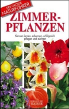 Maria T. DellaBeffa - Zimmerpflanzen