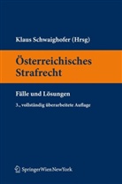 Klaus Schwaighofer - Österreichisches Strafrecht, Fälle und Lösungen