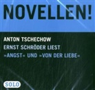 Ernst Schröder - Novellen!, 1 Audio-CD (Hörbuch)