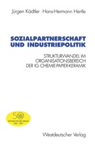 Hans-Hermann Hertle, Jürge Kädtler, Jürgen Kädtler - Sozialpartnerschaft und Industriepolitik