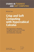 Michael Zaus - Crisp and Soft Computing with Hypercubical Calculus