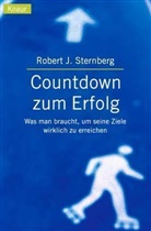 Robert J. Sternberg - Countdown zum Erfolg