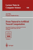 Jose Mira, Francisco Sandoval - From Natural to Artificial Neural Computation