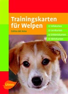 Celina del Amo - Trainingskarten für Welpen