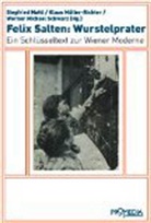 Emil Mayer, Felix Salten, Emil Mayer, Mattl, Siegfried Mattl, Müller-Richter... - Felix Salten: Wurstelprater