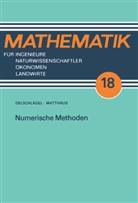 Wolf-Ger Matthäus, Wolf-Gert Matthäus, Dieter Oelschlägel - Numerische Methoden