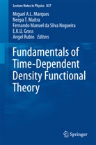 E. K. U. Gross, E.K.U. Gross, Fernando M S Nogueira et al, Neepa T. Maitra, Miguel A. L. Marques, Miguel A.L. Marques... - Fundamentals of Time-Dependent Density Functional Theory