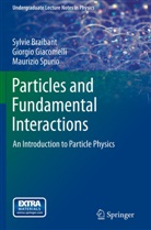 Sylvi Braibant, Sylvie Braibant, Giorgi Giacomelli, Giorgio Giacomelli, Giorgio M. Giacomelli, Mauri Spurio... - Particles and Fundamental Interactions