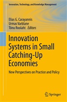 Elias G. Carayannis, T. Nu Roolaht, Tonu Roolaht, Tõnu Roolaht, Urma Varblane, Urmas Varblane - Innovation Systems in Small Catching-Up Economies