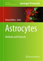 Richar Milner, Richard Milner - Astrocytes