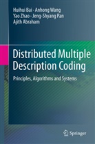 Ajith Abraham, Huihu Bai, Huihui Bai, Jeng-Shyang Pan, Anhon Wang, Anhong Wang... - Distributed Multiple Description Coding