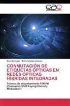 María Soledad Jimenez, Ricard LLugsi, Ricardo Llugsi - Conmutación de etiquetas ópticas en redes ópticas híbridas integradas