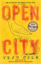 Teju Cole - Open City