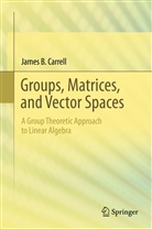 James Carrell, James B Carrell, James B. Carrell - A Group Theoretic Approach to Abstract Linear Algebra