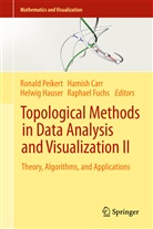 Hamish Carr, Hamish Carr et al, Raphael Fuchs, Helwi Hauser, Helwig Hauser, Ronald Peikert - Topological Methods in Data Analysis and Visualization II