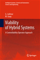 M Guay, M. Guay, Labinaz, G Labinaz, G. Labinaz - Viability of Hybrid Systems