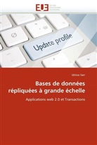 Idrissa Sarr, Sarr-I - Bases de donnees repliquees a