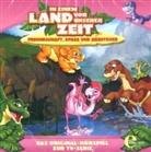 In einem Land vor unserer Zeit, Audio-CDs - 8: In einem Land vor unserer Zeit, 1 Audio-CD (Hörbuch)