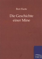 Bret Harte - Die Geschichte einer Mine