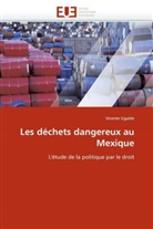 Vicente Ugalde, Ugalde-V - Les dechets dangereux au mexique