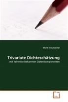 Marie Schumacher - Trivariate Dichteschätzung