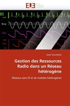 Samir Gourdache, Gourdache-S - Gestion des ressources radio dans