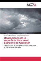 Javie Delgado Cabello, Javier Delgado Cabello, Jesús García Lafuente - Oscilaciones de la superficie libre en el Estrecho de Gibraltar