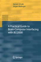 Juergen Mellinger, Jürgen Mellinger, Gerwi Schalk, Gerwin Schalk - A Practical Guide to Brain Computer Interfacing with BCI2000