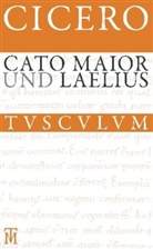 Cicero, Marcus T Cicero, Marcus Tullius Cicero, Raine Nickel, Rainer Nickel - Cato Maior. Laelius