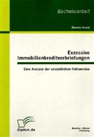 Dennis Krahl - Exzessive Immobilienkreditverbriefungen
