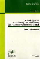Anna Stadler - Grundlagen der Bilanzierung und Verbuchung von Finanzinstrumenten nach HGB in der Lindner Gruppe