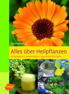 Ursel Bühring - Alles über Heilpflanzen