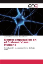 J Antoni Aznar Casanova, J. Antonio Aznar Casanova, J.Antonio Aznar Casanova, Manuel Moreno - Neurocomputacion en el Sistema Visual Humano