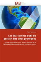 Pascal Kabitshwa, Kabitshwa-P - Les sig comme outil de gestion