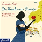 Susanne Falk, Dietmar Wunder - Das Wunder von Treviso, 3 Audio-CDs (Hörbuch)