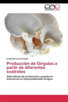 Aníbal Marcelo Slavutsky - Producción de Gírgolas a partir de diferentes sustratos