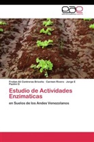 Froilan Al Contreras Briceño, Froilan Ali Contreras Briceño, Paol, Jorge E Paolini G, Carme Rivero, Carmen Rivero - Estudio de Actividades Enzimaticas